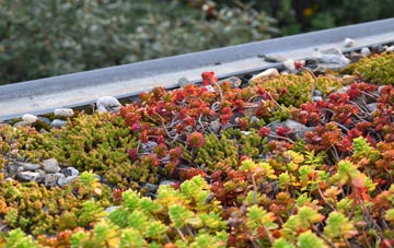the cost of Hawen green roof installation