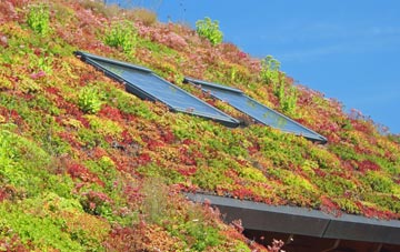 Hawen living roof systems