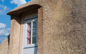 Hawen thatch roof disadvantages